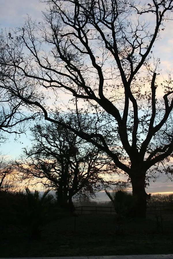 Domaine Lacassagne Courrensan Bed & Breakfast